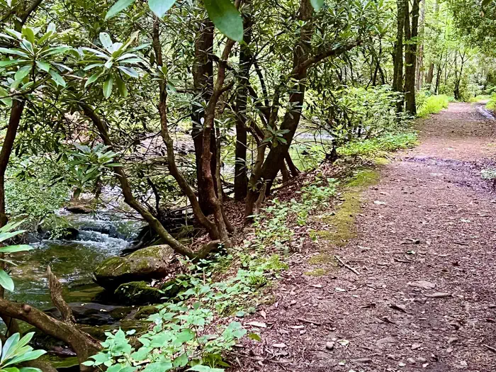 Basin Cove Backcountry Camping — Trails Along the Creek Nearby