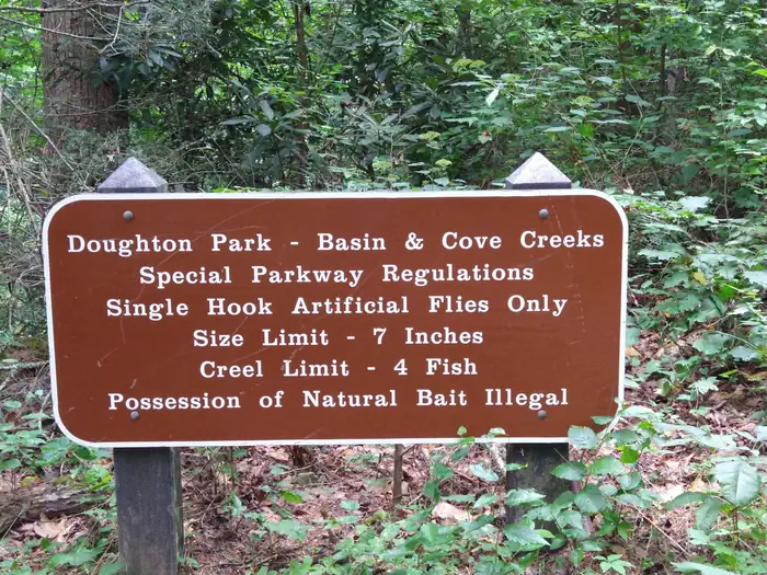 Basin Cove Backcountry Camping — Special Parkway Fishing Regulations in Basin Cove
