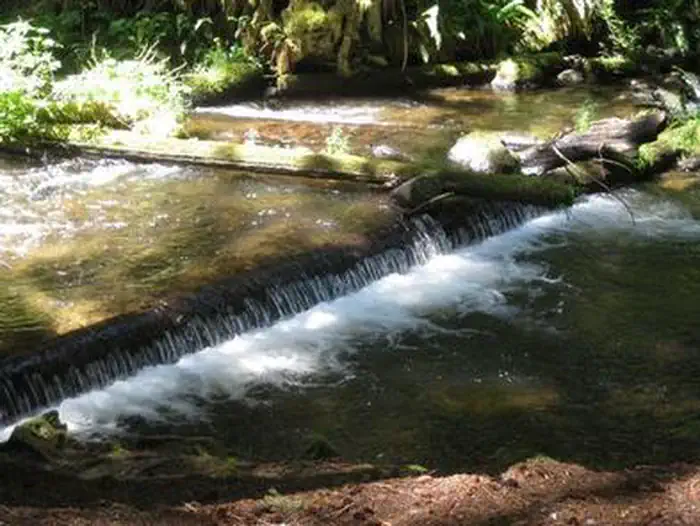 Camp Creek — CAMP CREEK