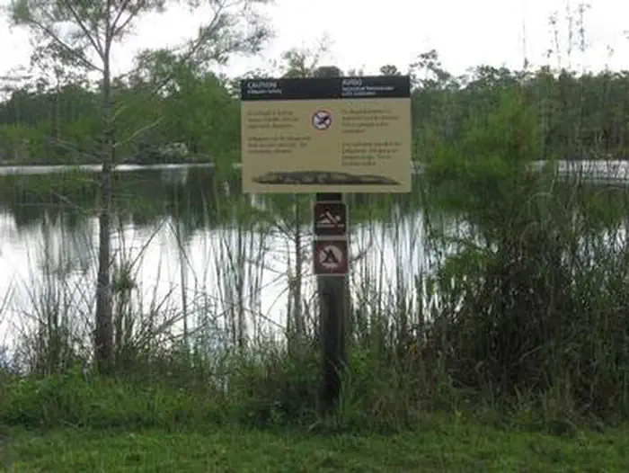 Burns Lake Campground — Burns Lake Campground Wildlife 
