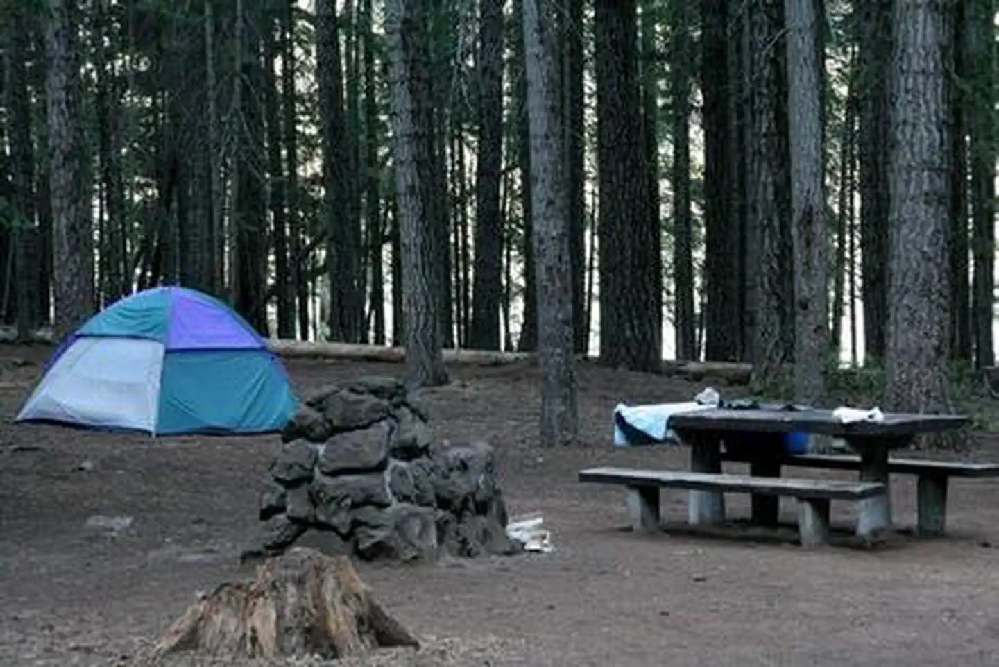 Rainbow Bay at Lake of the Woods — ASPEN POINT