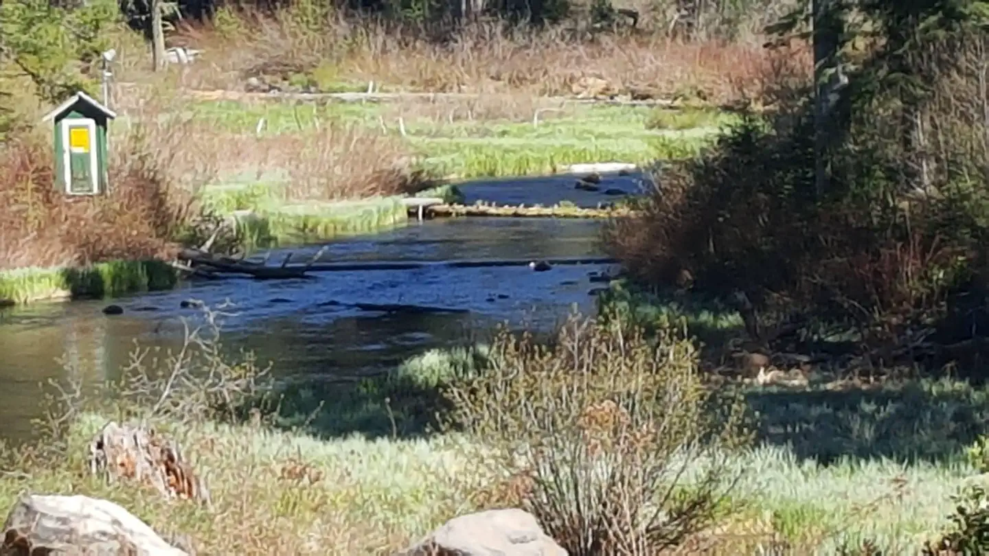NORTH FORK CAMPGROUND (OR) — North Fork River