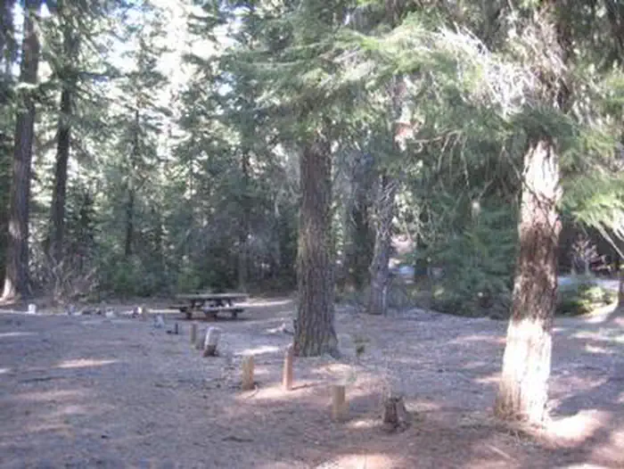 NORTH FORK CAMPGROUND (OR) — NORTH FORK CAMPGROUND (OR)
