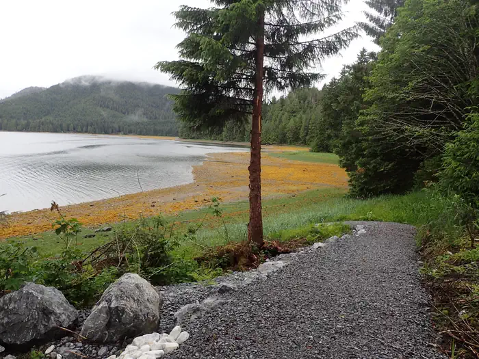 El Capitan Campground — gravel trail with view of trees and ocean