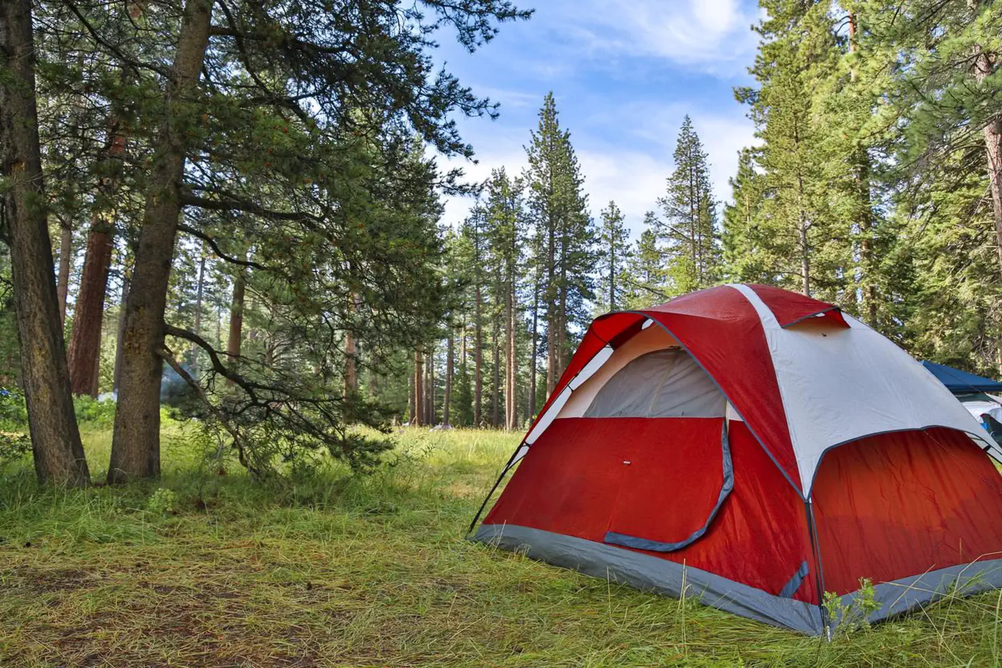 Badgers Den at Camp Richardson Resort — Tent