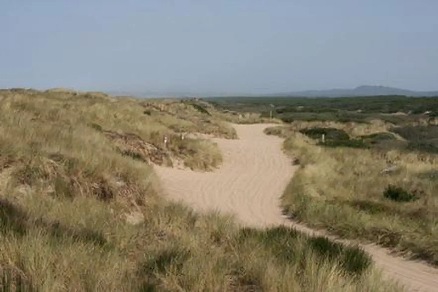 Horsfall Beach — HORSFALL BEACH