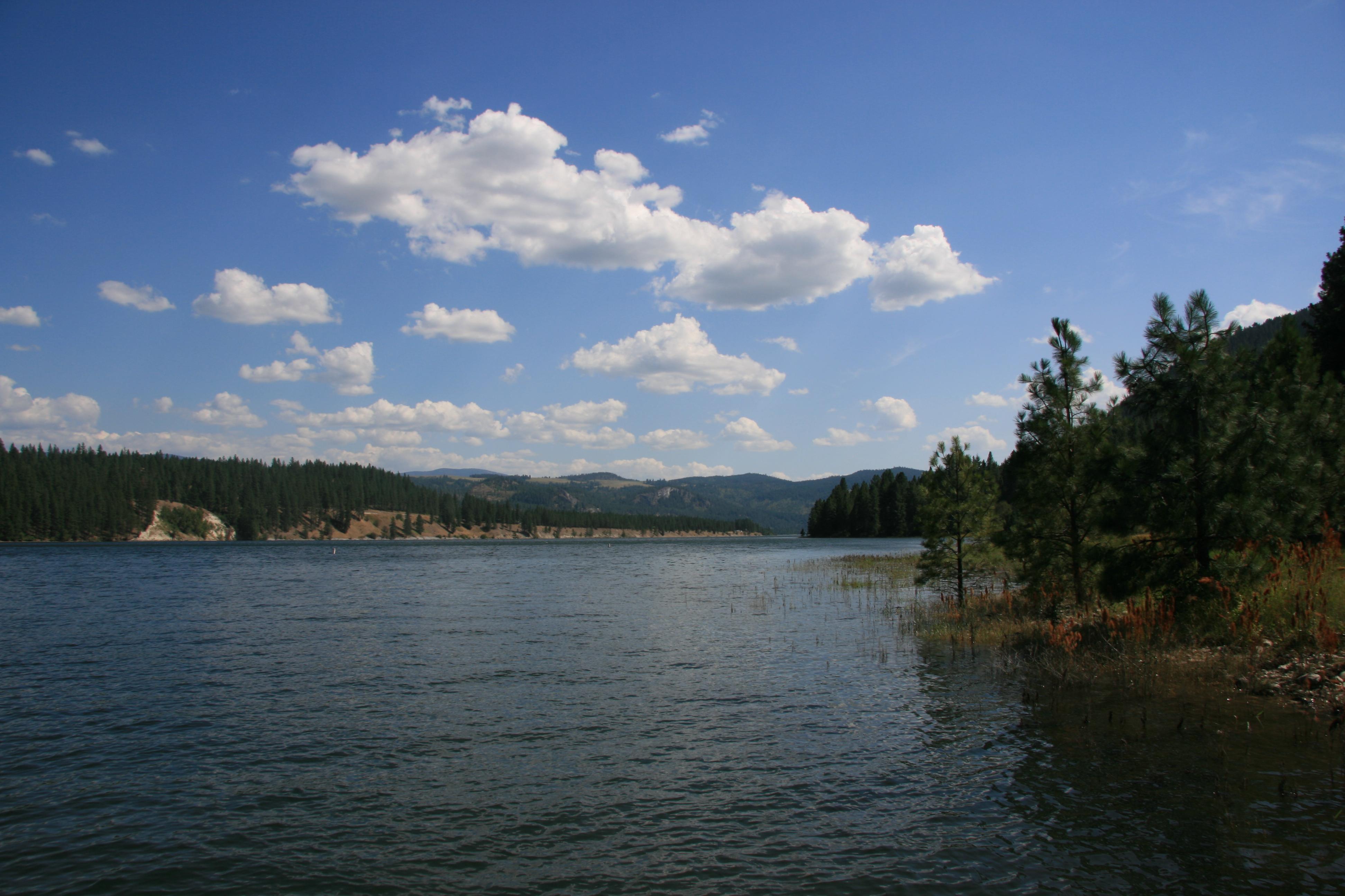 Snag Cove Campground — Lake View