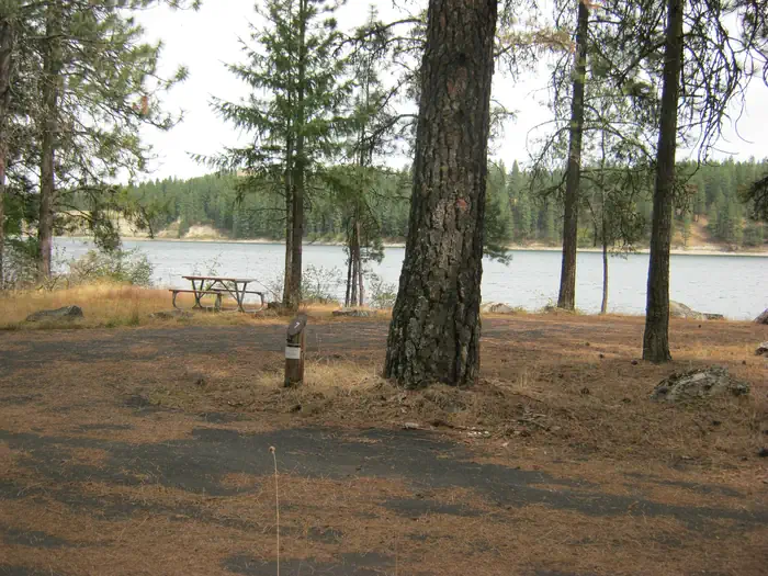 Snag Cove Campground — Campsite with trees and river in the background