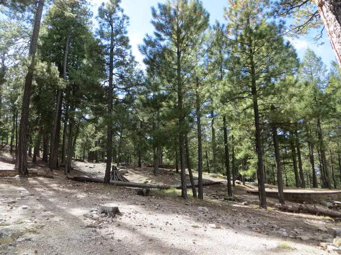 WHITETAIL CAMPGROUND — Whitetail Campground
