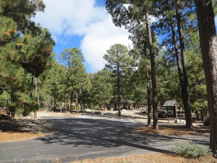 WHITETAIL CAMPGROUND — Whitetail Campground