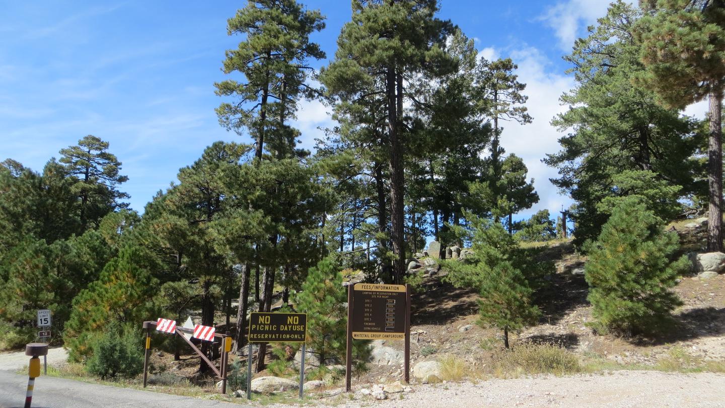 Whitetail Group Site
