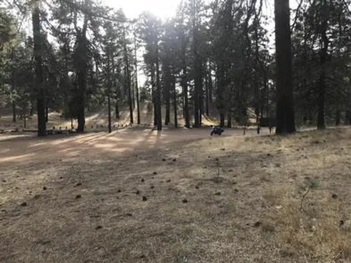 PINE MOUNTAIN CAMPGROUND — PINE MOUNTAIN CAMPGROUND