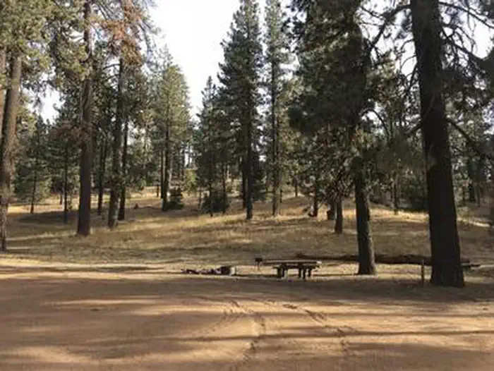 PINE MOUNTAIN CAMPGROUND — PINE MOUNTAIN CAMPGROUND