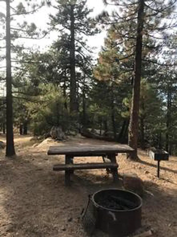 PINE MOUNTAIN CAMPGROUND — PINE MOUNTAIN CAMPGROUND