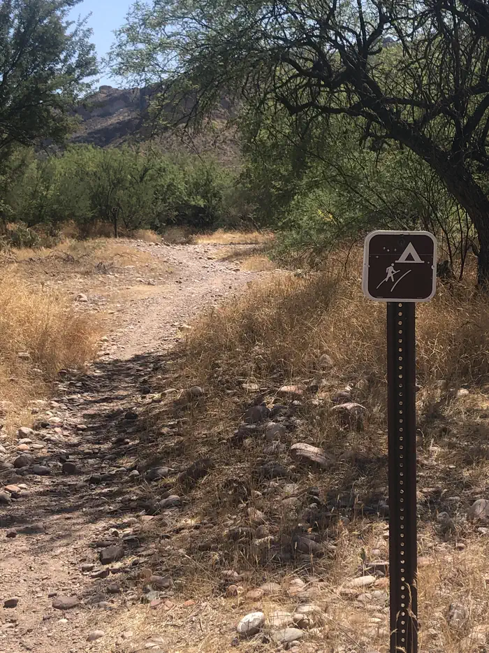 Larry Forbis Overnight Group Site — Trail with Tent/Hiking signs