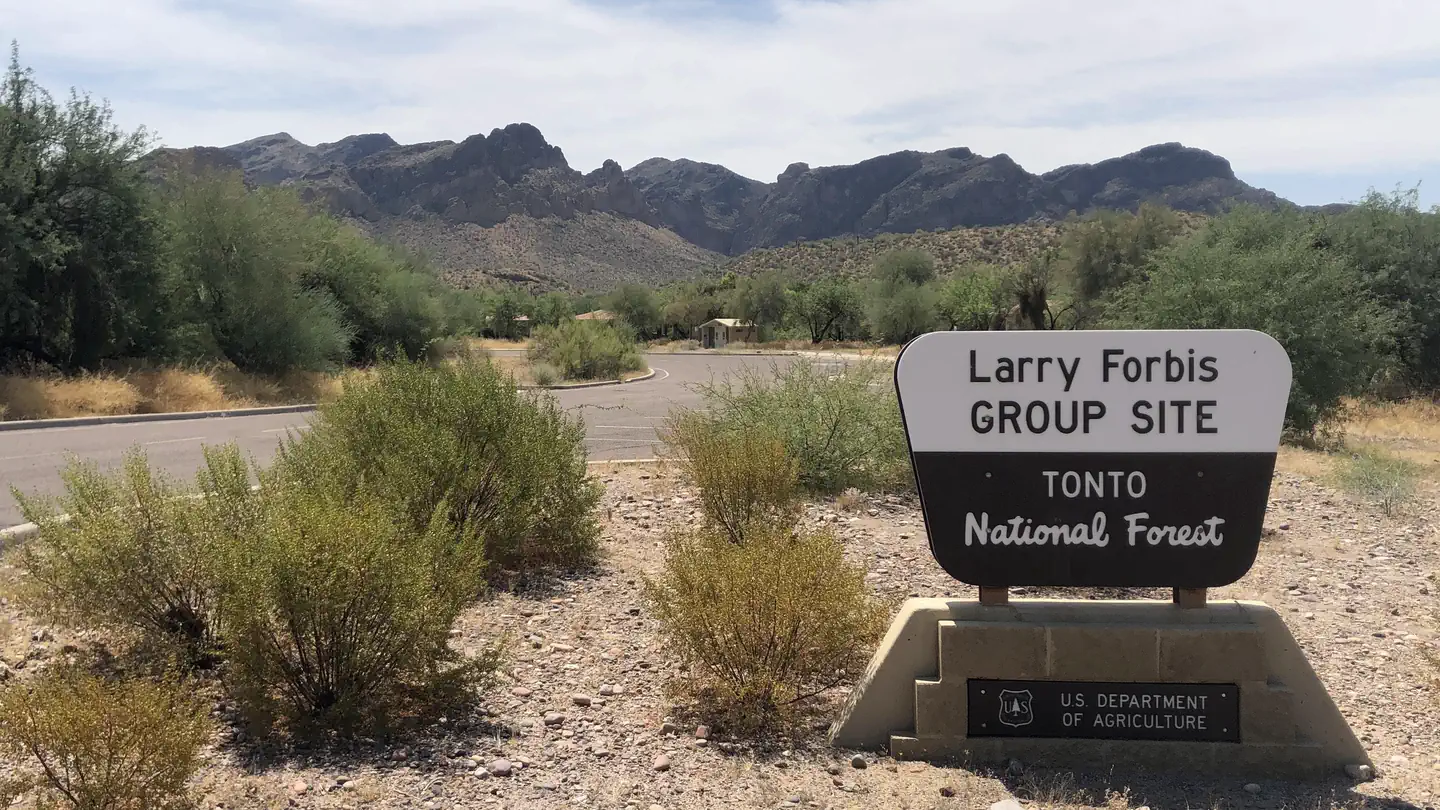 Larry Forbis Group Site