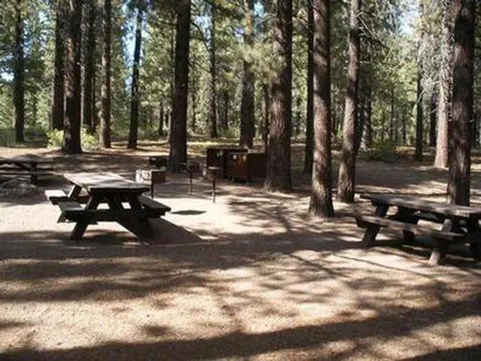 Pine Glen — PINE GLEN