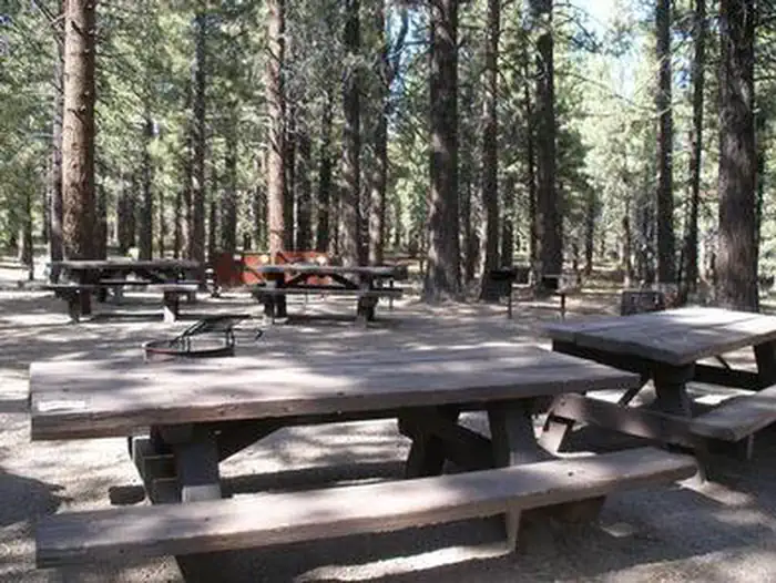 Pine Glen — PINE GLEN