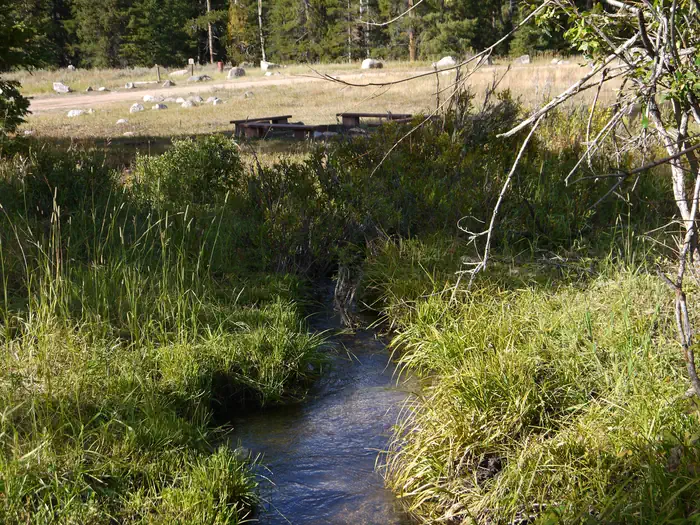 Ranger Creek Recreation Area — Creek near group area