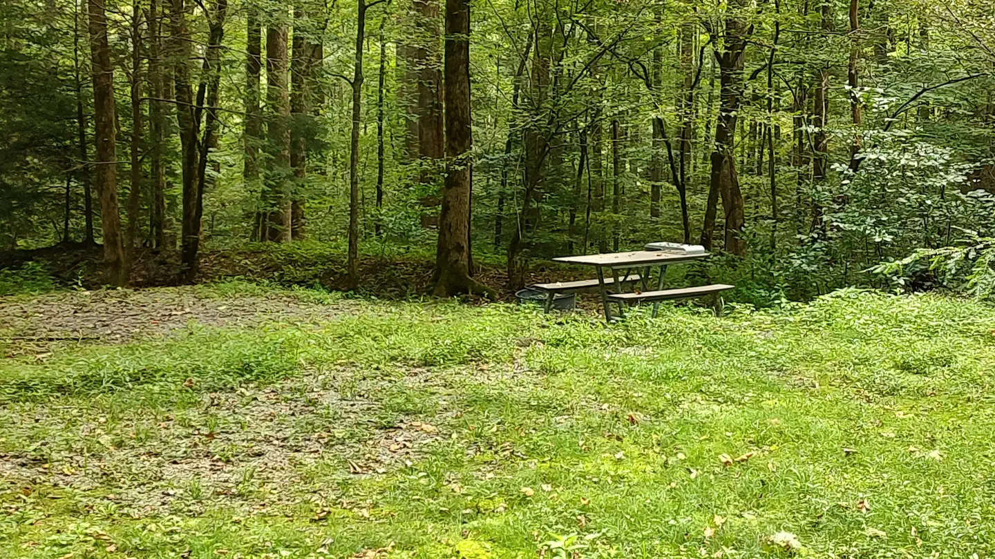 Big Creek Campground