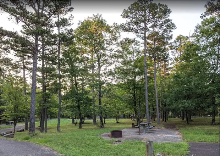 Winding Stair Campground (OK) — Winding Stair Campsites - Spring