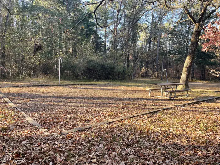 Chickamauga Battlefield Group Campground — A photo of a campsite at Chickamauga Battlefield in the fall, featuring a tent pad, picnic table, and lantern poles.