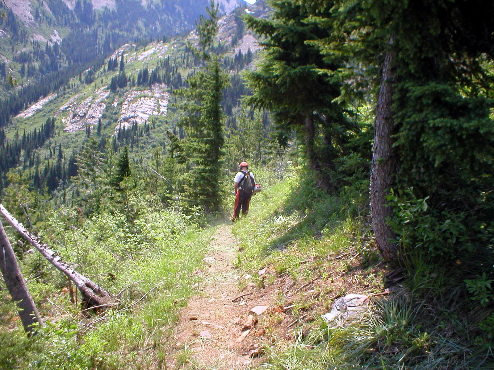 Sheep Springs Overlook — Sheep Springs Overlook trail