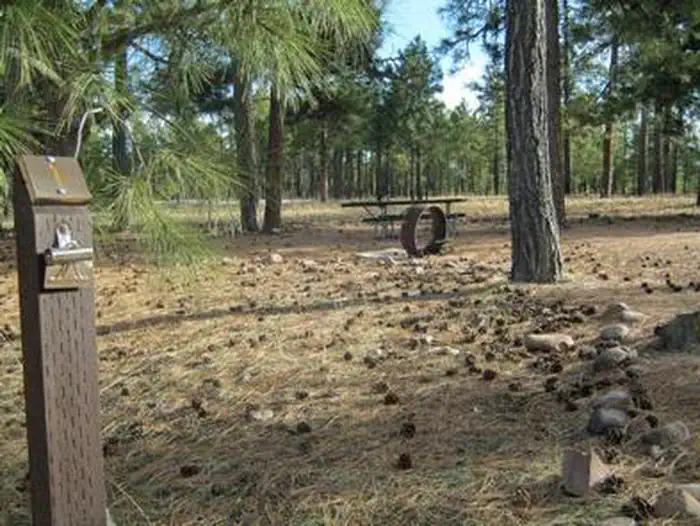 Black Canyon Rim Campground (apache-sitgreaves National Forest, Az) — BLACK CANYON RIM CAMPGROUND