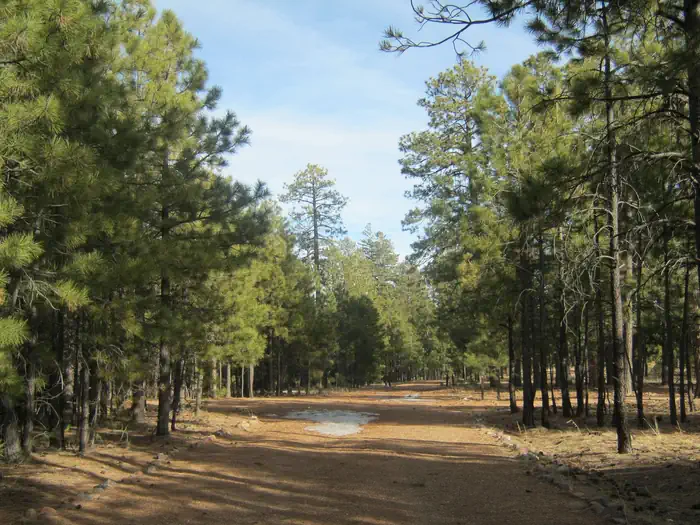 Black Canyon Rim Campground (apache-sitgreaves National Forest, Az) — view of entrance to Black Canyon Rim Campground