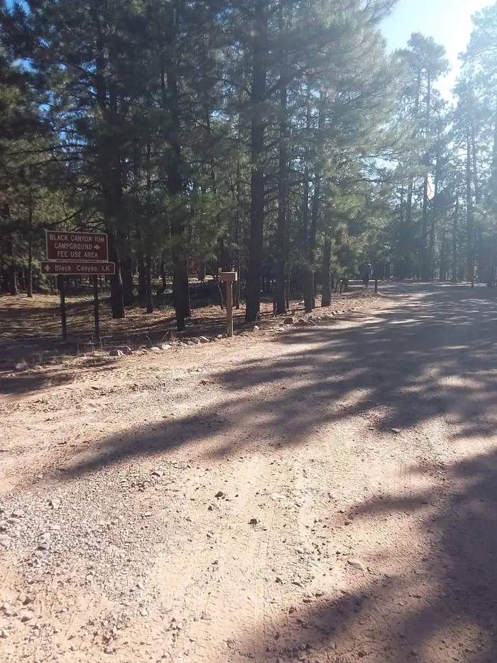 Black Canyon Rim Campground (apache-sitgreaves National Forest, Az) — Black Canyon Rim Campground Sign and Gate Entrance