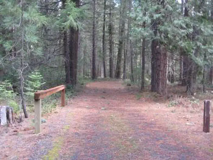 Whiskey Springs Campground — WHISKEY SPRINGS CAMPGROUND