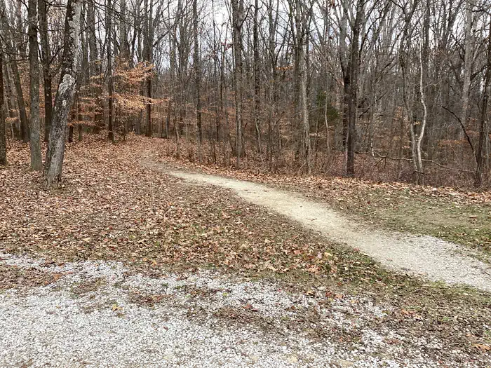 Hickory Ridge Campground — A photo of facility Hickory Ridge Trail as it leaves the campground.