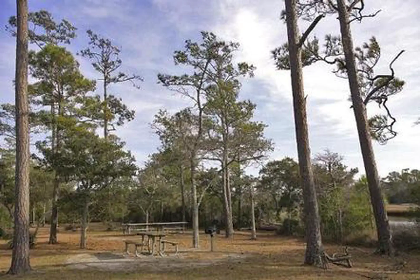 CEDAR POINT CAMPGROUND — CEDAR POINT CAMPGROUND