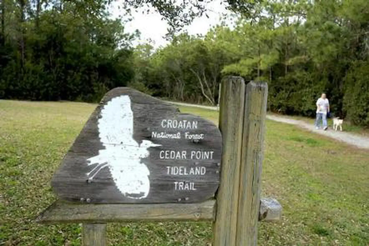 CEDAR POINT CAMPGROUND — CEDAR POINT CAMPGROUND