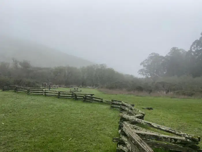 Haypress Campground — A green meadow with a fence running through it, food lockers and picnic table in distance.