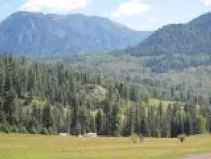 WILLIAMS CREEK CAMPGROUND — WILLIAMS CREEK CAMPGROUND