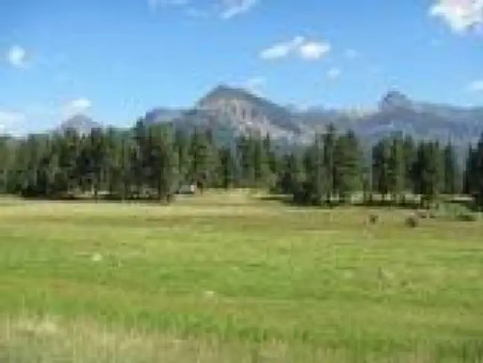 WILLIAMS CREEK CAMPGROUND — WILLIAMS CREEK CAMPGROUND