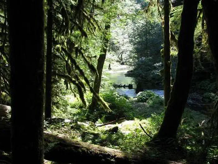 LOST CREEK — LOST CREEK