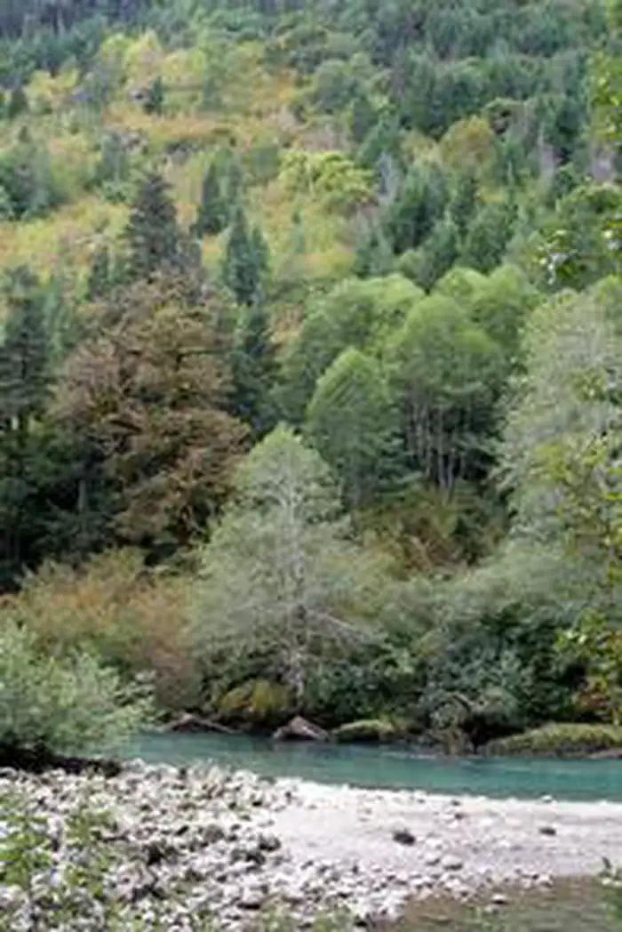 Marble Creek Campground — Marble Creek Campground