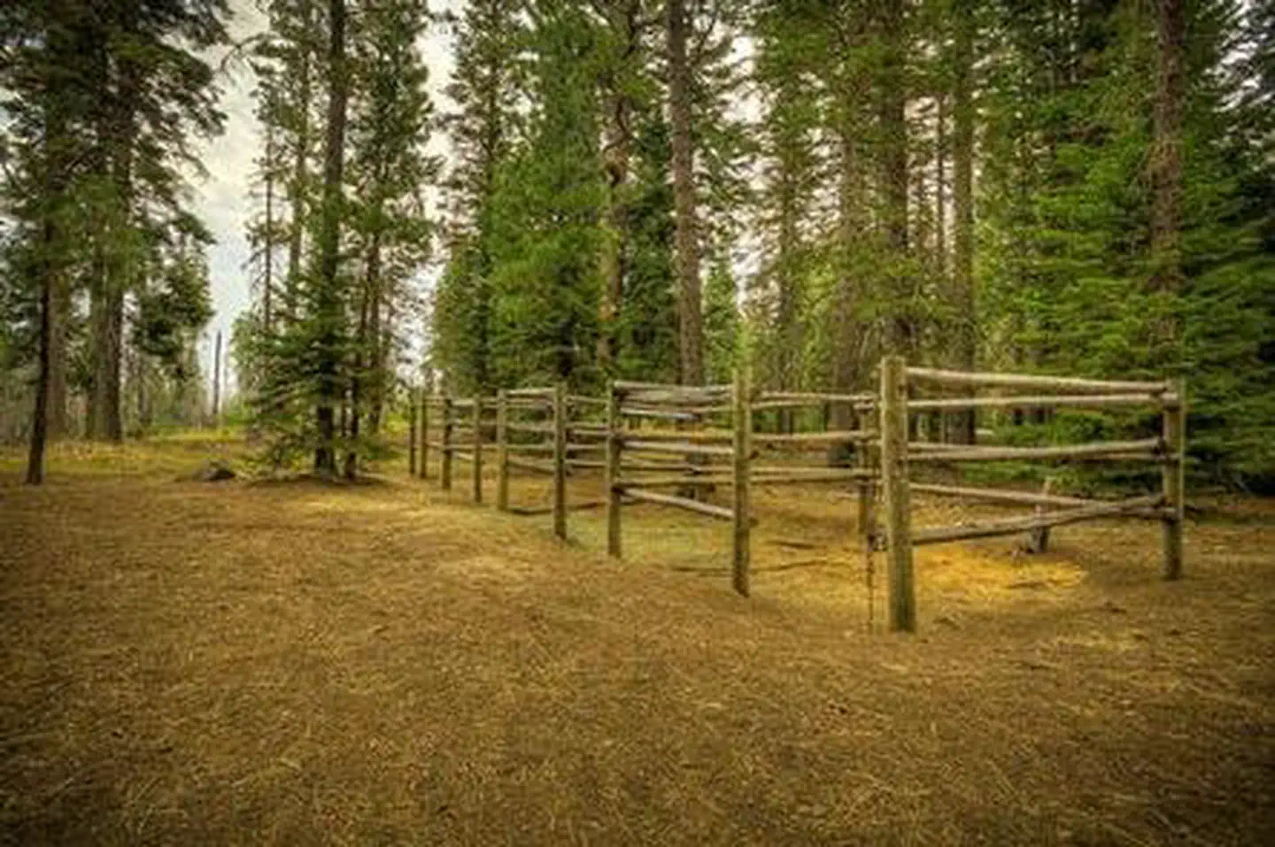 Whispering Pines Horse Camp — Whispering Pines Horse Camp