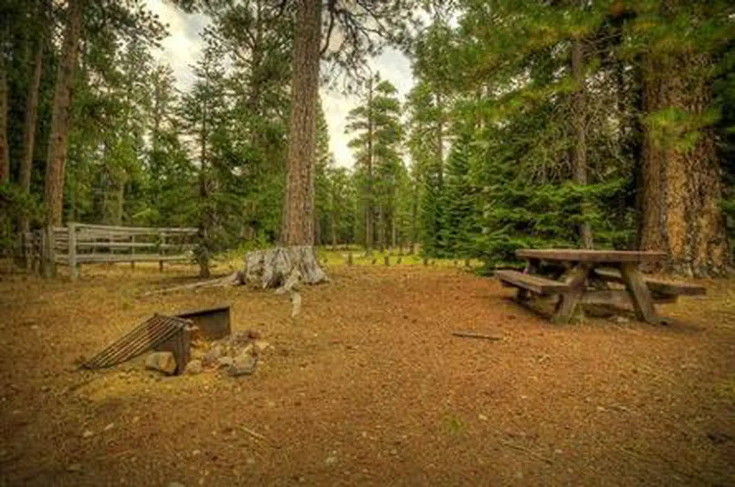 Whispering Pines Horse Camp — Whispering Pines Horse Camp