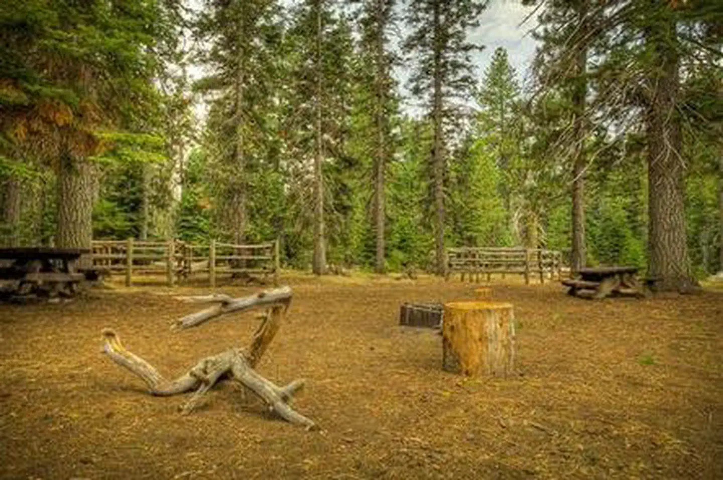 Whispering Pines Horse Camp — Whispering Pines Horse Camp