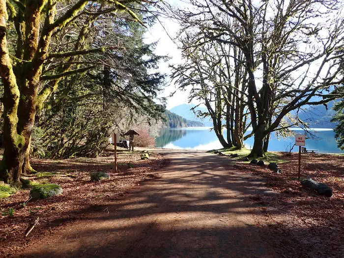Fairholme Campground — A dirt road leading to the shore of Lake Crescent, where the dock and boat launch are located. Sun shines through the currently leafless trees on what appears to be an early spring day.