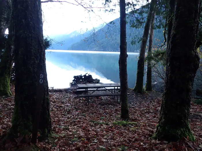 Fairholme Campground — A walk-in site at Fairholme Campground - furnished with a wooden picnic table. The site is just a mere 20 or so feet from the shore of Lake Crescent.