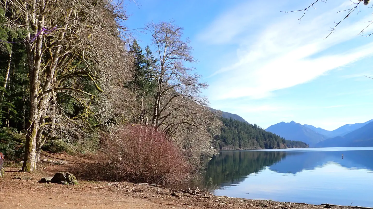 Fairholme Campground - Olympic National Park
