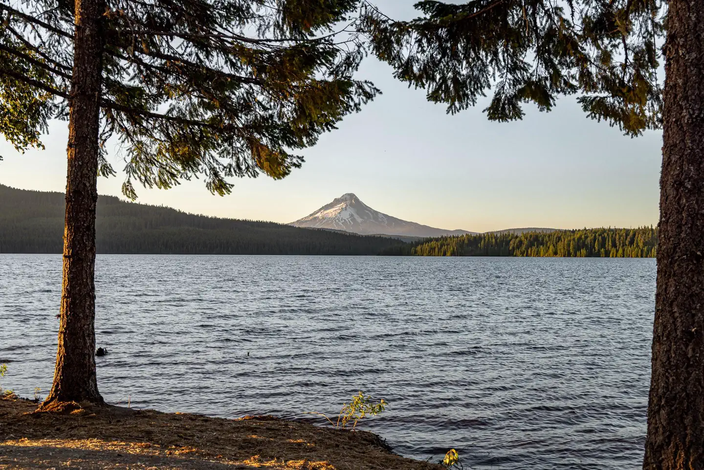 Stone Creek Campground (Timothy Lake, OR) — View of Mount Hood from Stone Creek Campground shoreline
