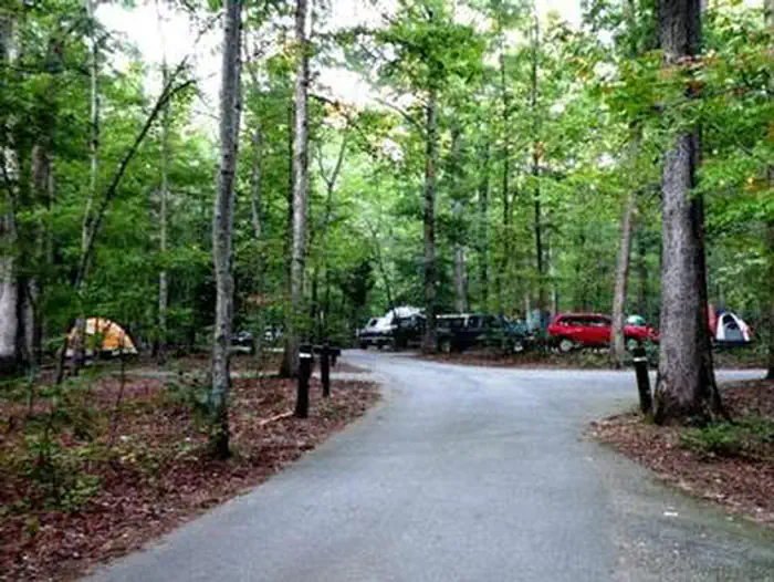 OAK RIDGE CAMPGROUND — Cars and tents at a campsite near a paved roadway