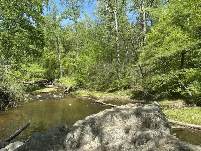 OAK RIDGE CAMPGROUND — A Boulder in Quantico Creek with leafy trees in the background