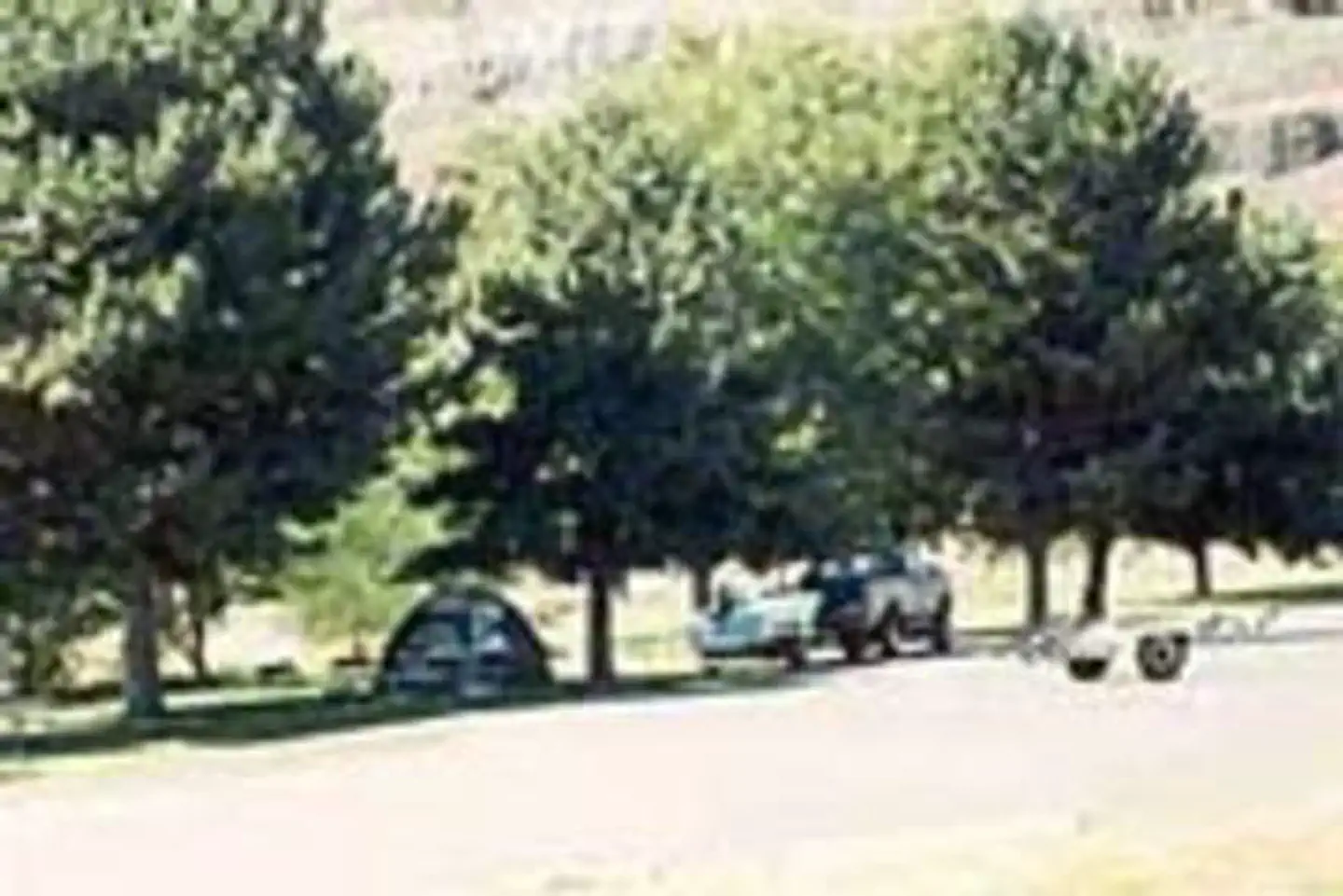 Windust Park — WINDUST PARK
