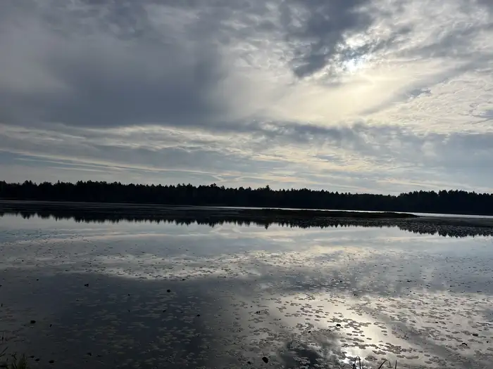 Wakeley Lake Area